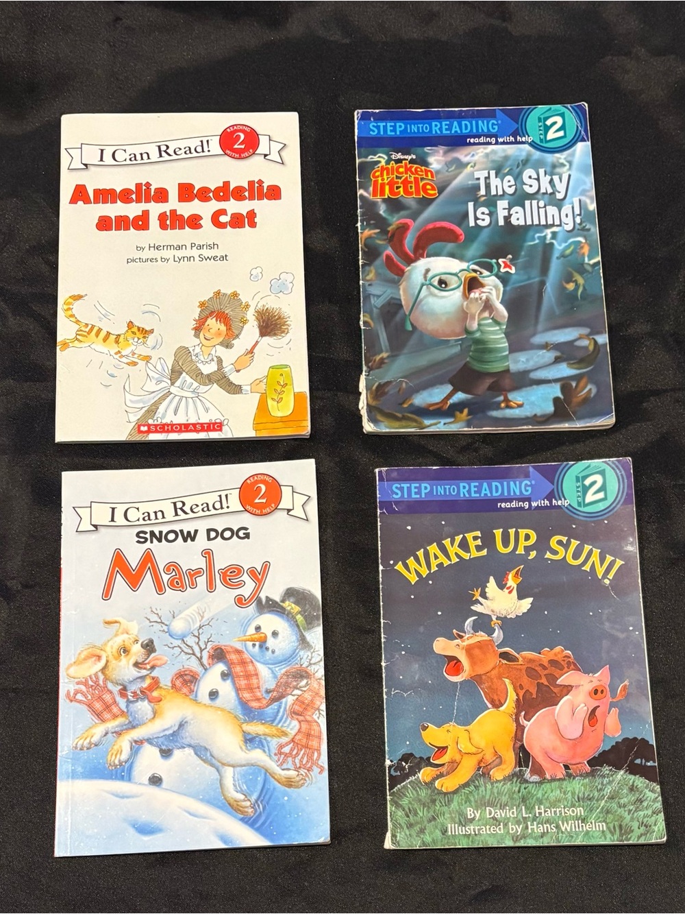 Lot of Early Readers - Level 2 - Picture 1 of 1